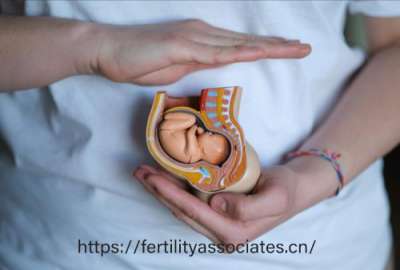 試管嬰兒:給不孕者帶來(lái)的生育福音